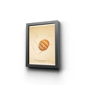 تابلو قاب و شیشه کد P327